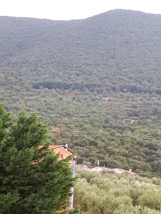 B&B Porta Del Gargano San Marco in Lamis Kültér fotó