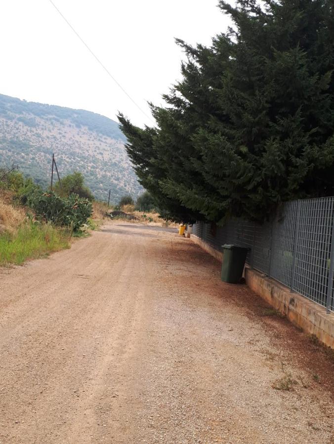 B&B Porta Del Gargano San Marco in Lamis Kültér fotó