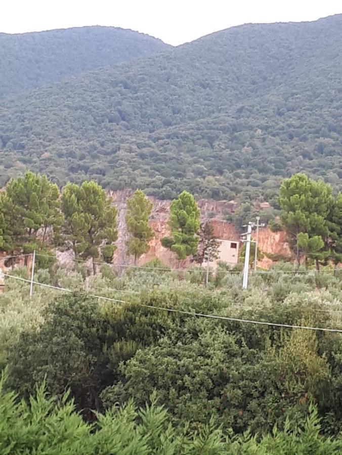 B&B Porta Del Gargano San Marco in Lamis Kültér fotó